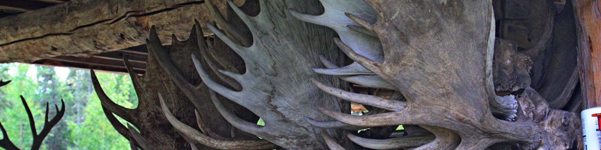 What a fun place for a guy to stumble around in!