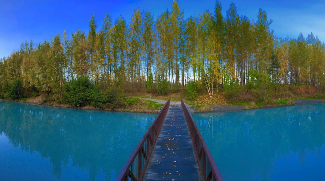 Stopped by this location to get some fall color next to the glacial river in Eklutna..awesomely beautiful! #adventure