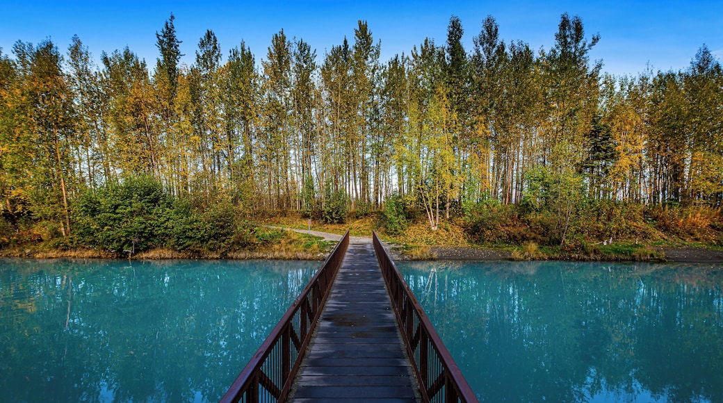 The water here is glacier fed and is such a sharp contrast from the rest of the scenery it really makes this shot amazing!