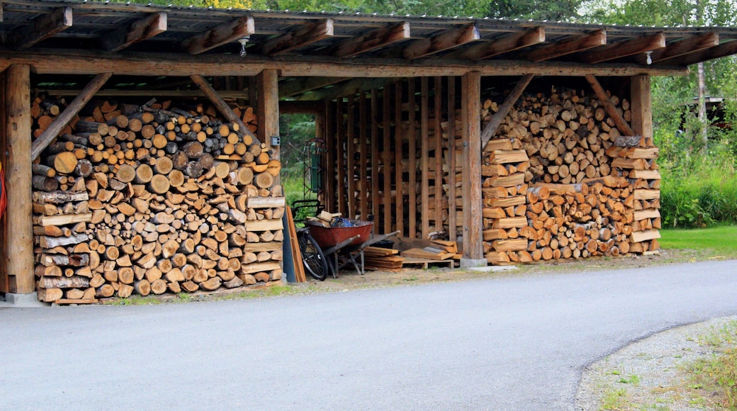 Winters wood supply near Palmer, Alaska