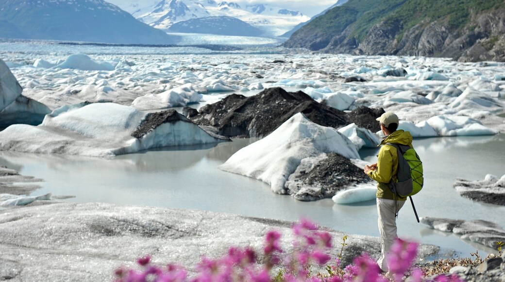 Palmer welches beinhaltet Berge sowie einzelner Mann