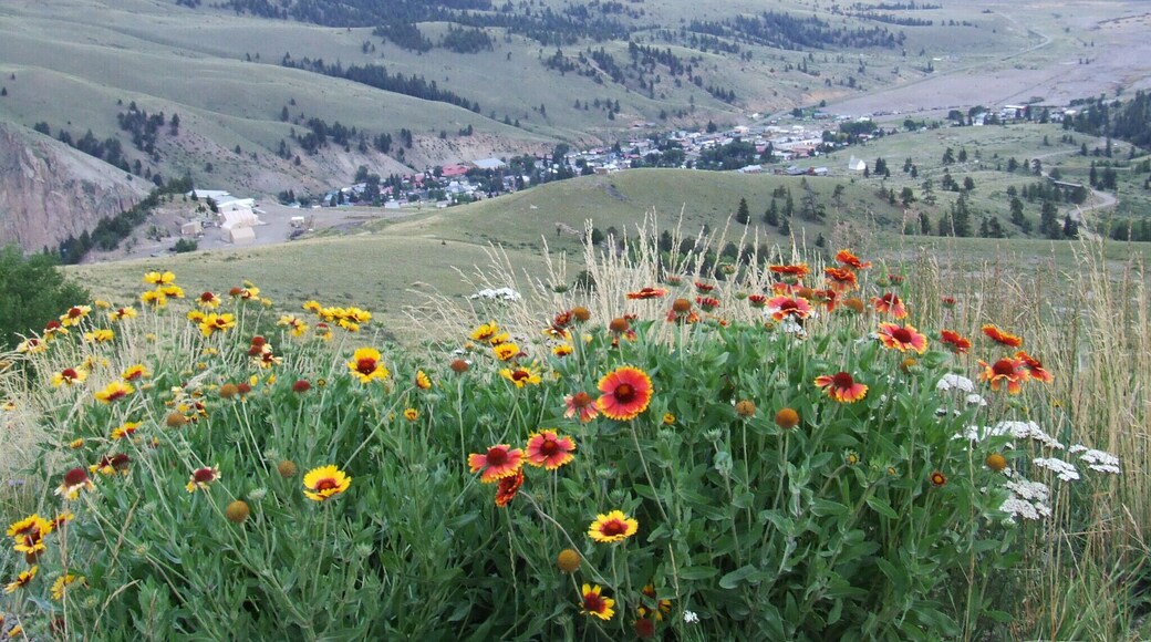 View of Creede, Colorado, USA from the Bachelor Historic Loop. Driving the loop passes old abandoned mining structures and beautiful scenery. #LifeAtExpedia