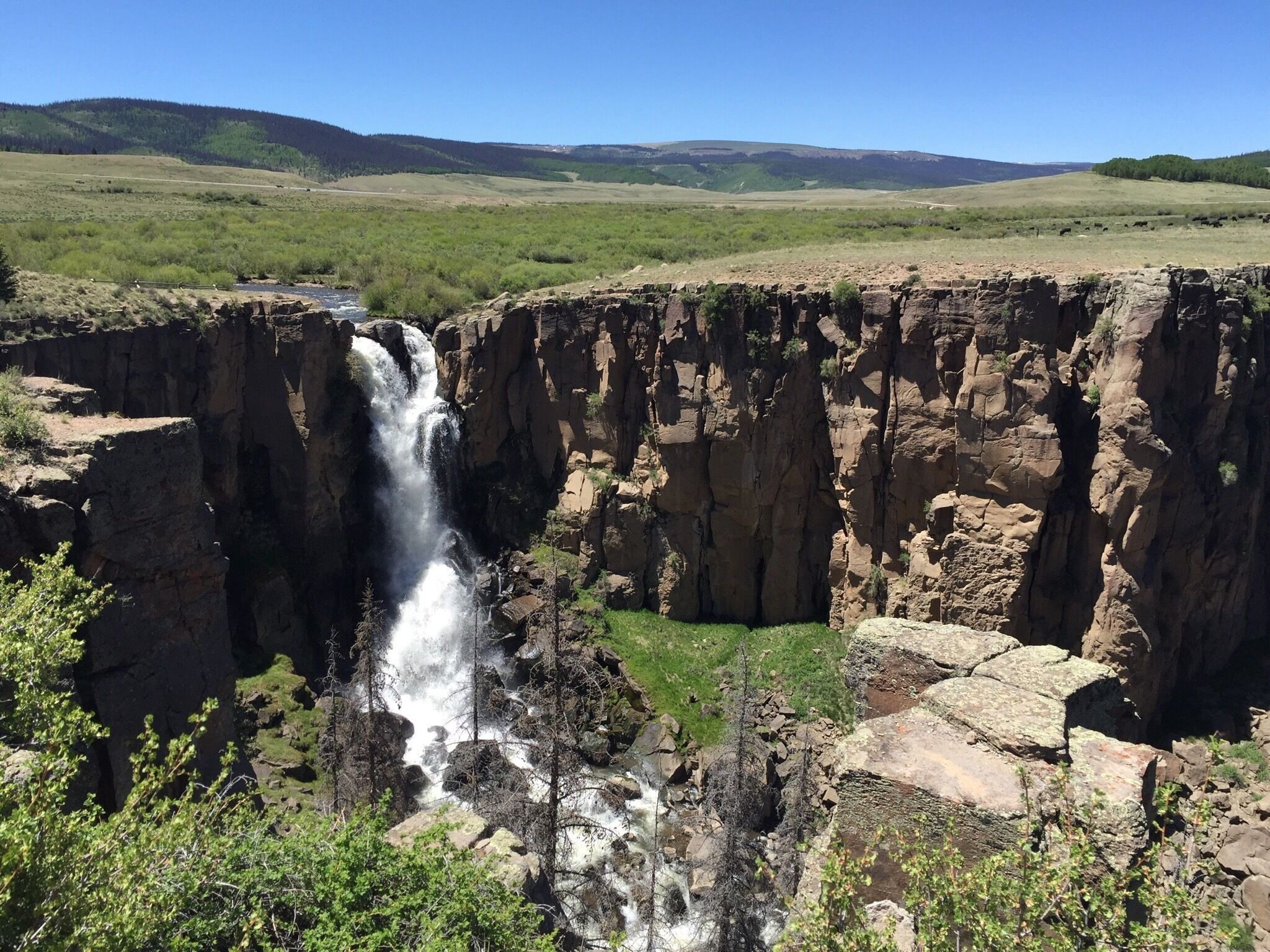 Clear creek falls, CO