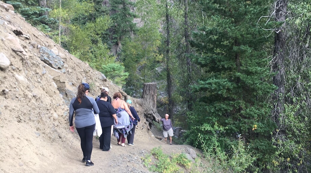 #GreatOutdoors enjoying a walk in Beautiful Colorado