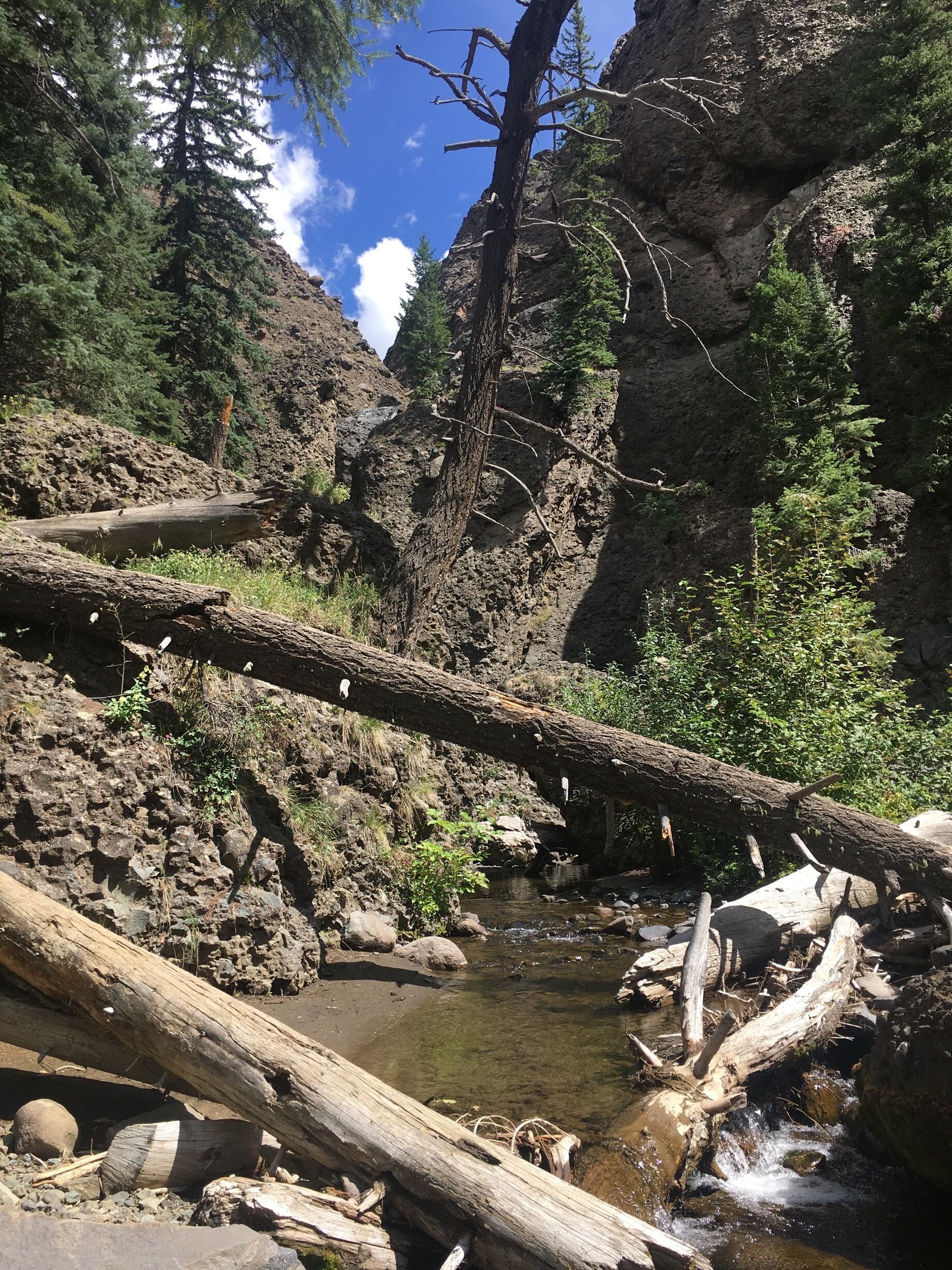 #GreatOutdoors 
Colorado in the Fall