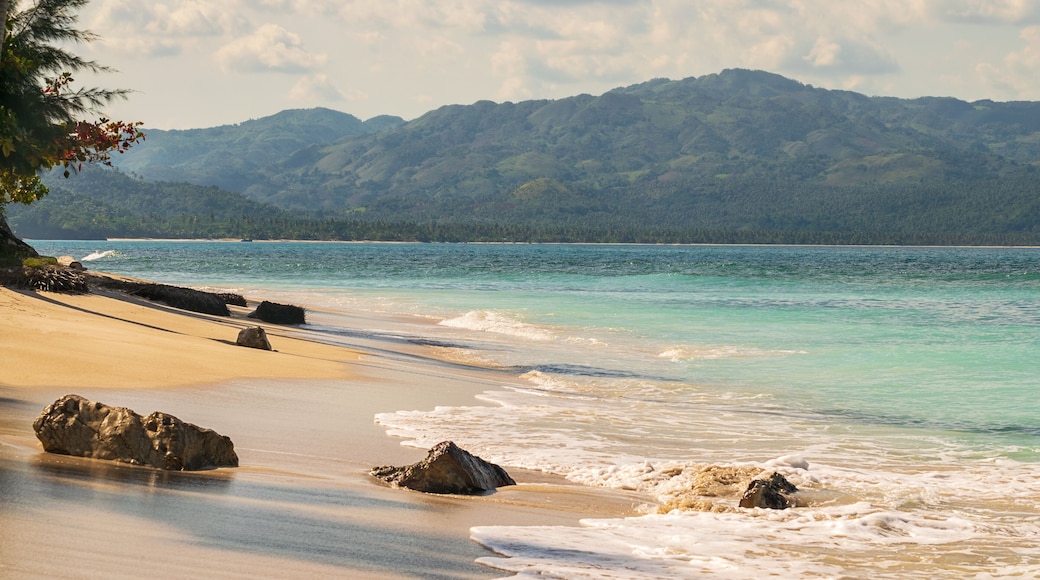 Beautiful sandy beach and crystal clear turquoise sea water in perfect tropical caribbean vacation destination. La Playita beach in Las Galeras, Dominican Republic.
