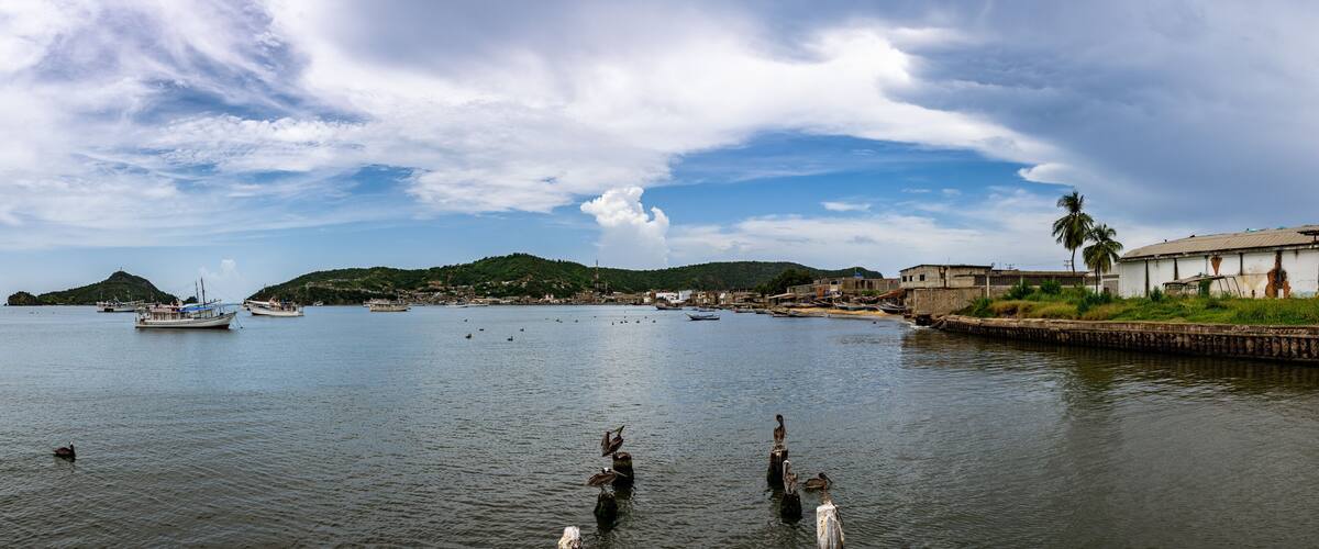 A coastal town with boats on the water, a hill in the background, and a palm tree on the right.