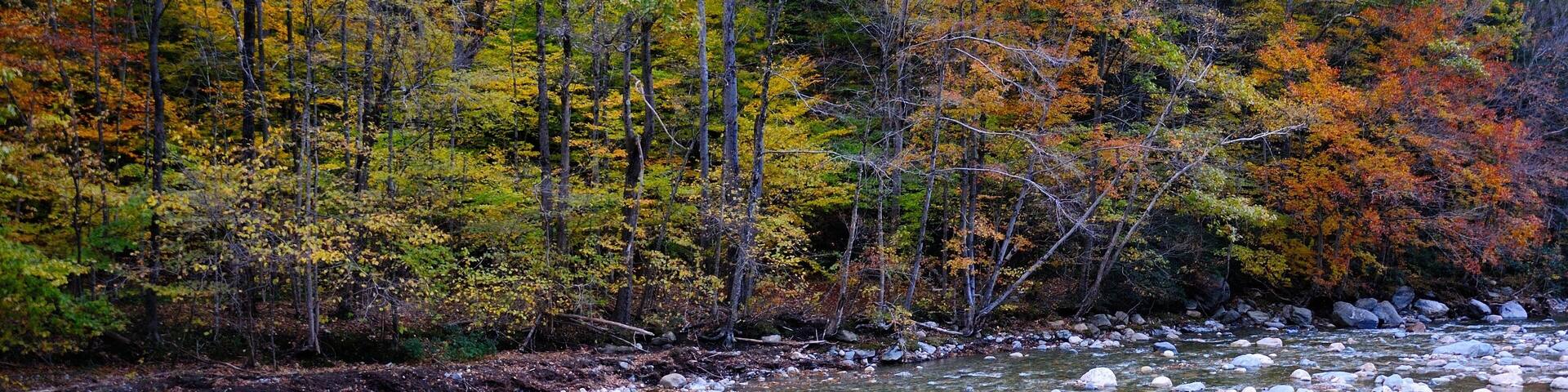 A river with rocks, surrounded by autumn-colored trees.