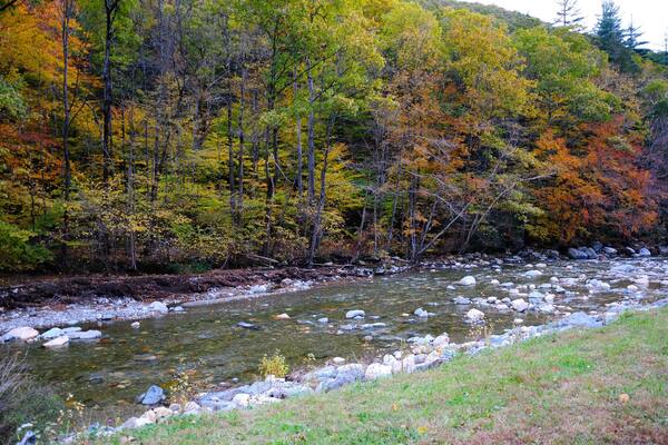 The Mohawk Trail through The Berkshire Hills (Massachusetts, USA) in autumn