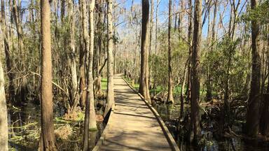 Water Trails and Boardwalks: Joyce Wildlife Management Area Swamp Walk
Visit our blog to learn more about this adventure!!
http://www.frugalfamilytravelers.blogspot.com/2015/03/water-trails-and-boardwalks-joyce.html?m=1
Follow us on Facebook: https://www.facebook.com/frugalfamilytravelers?ref=hl
#StunningStructures