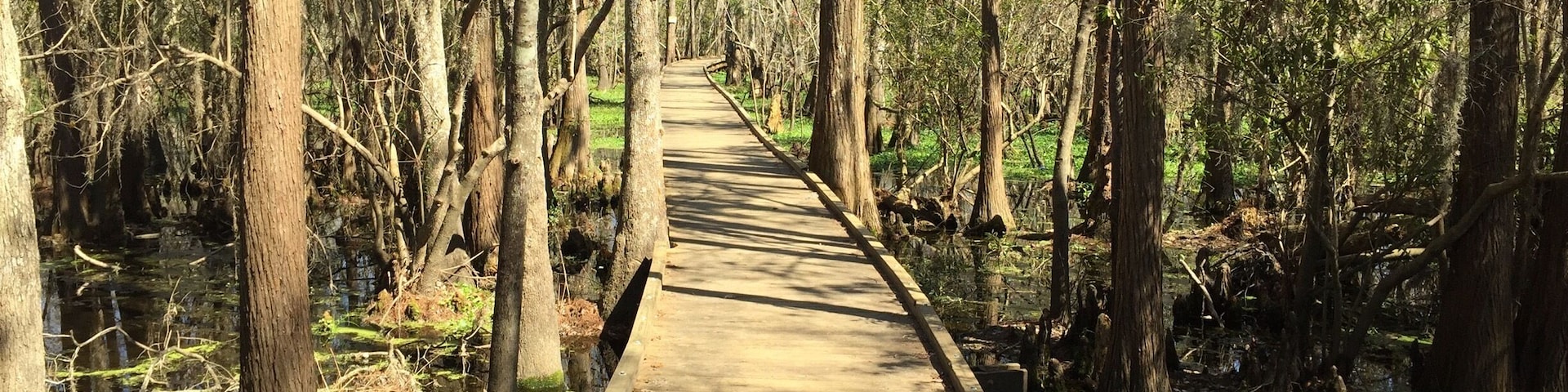 Water Trails and Boardwalks: Joyce Wildlife Management Area Swamp Walk
Visit our blog to learn more about this adventure!!
http://www.frugalfamilytravelers.blogspot.com/2015/03/water-trails-and-boardwalks-joyce.html?m=1
Follow us on Facebook: https://www.facebook.com/frugalfamilytravelers?ref=hl
#StunningStructures