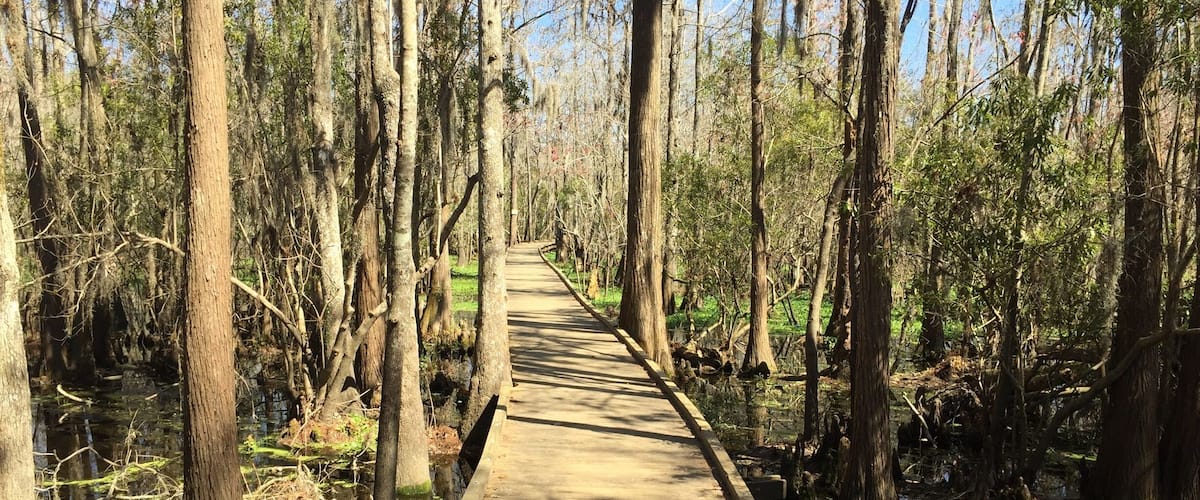 Water Trails and Boardwalks: Joyce Wildlife Management Area Swamp Walk
Visit our blog to learn more about this adventure!!
http://www.frugalfamilytravelers.blogspot.com/2015/03/water-trails-and-boardwalks-joyce.html?m=1
Follow us on Facebook: https://www.facebook.com/frugalfamilytravelers?ref=hl
#StunningStructures