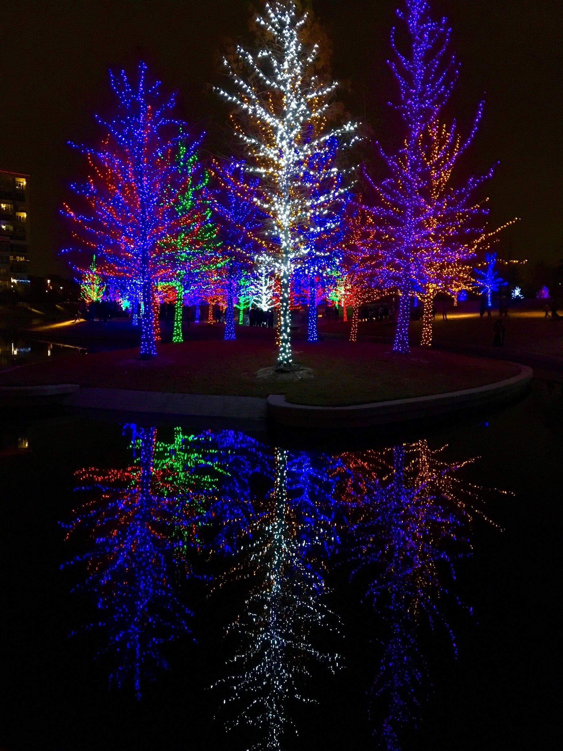 #bestof5
One of my favorite places to visit every Christmas. Love the colors and the reflection of the lit up trees in the water below...very calming and the kids love it! I
Specially love the blue and purple trees! 