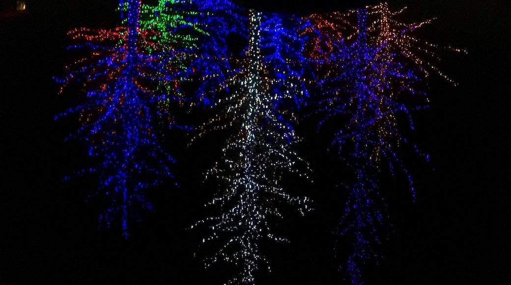 #bestof5
One of my favorite places to visit every Christmas. Love the colors and the reflection of the lit up trees in the water below...very calming and the kids love it! I
Specially love the blue and purple trees!