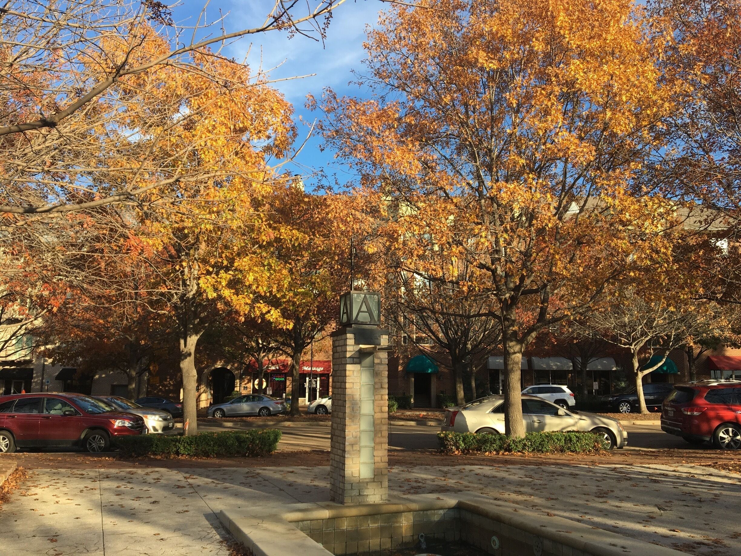 Winter colors @Addison Texas. Beautiful Park for free.