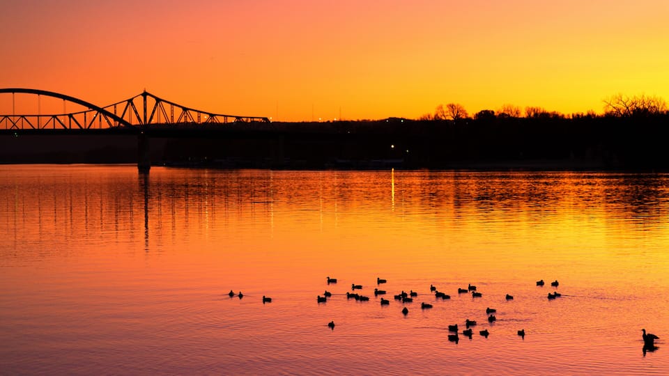 A sunset over a calm river with a bridge and ducks.