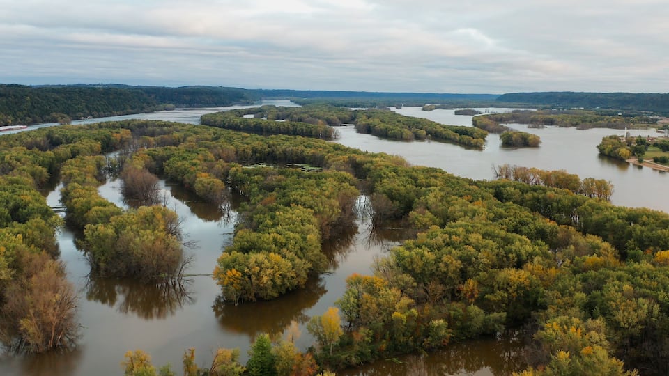 A river surrounded by dense forest with multiple islands.