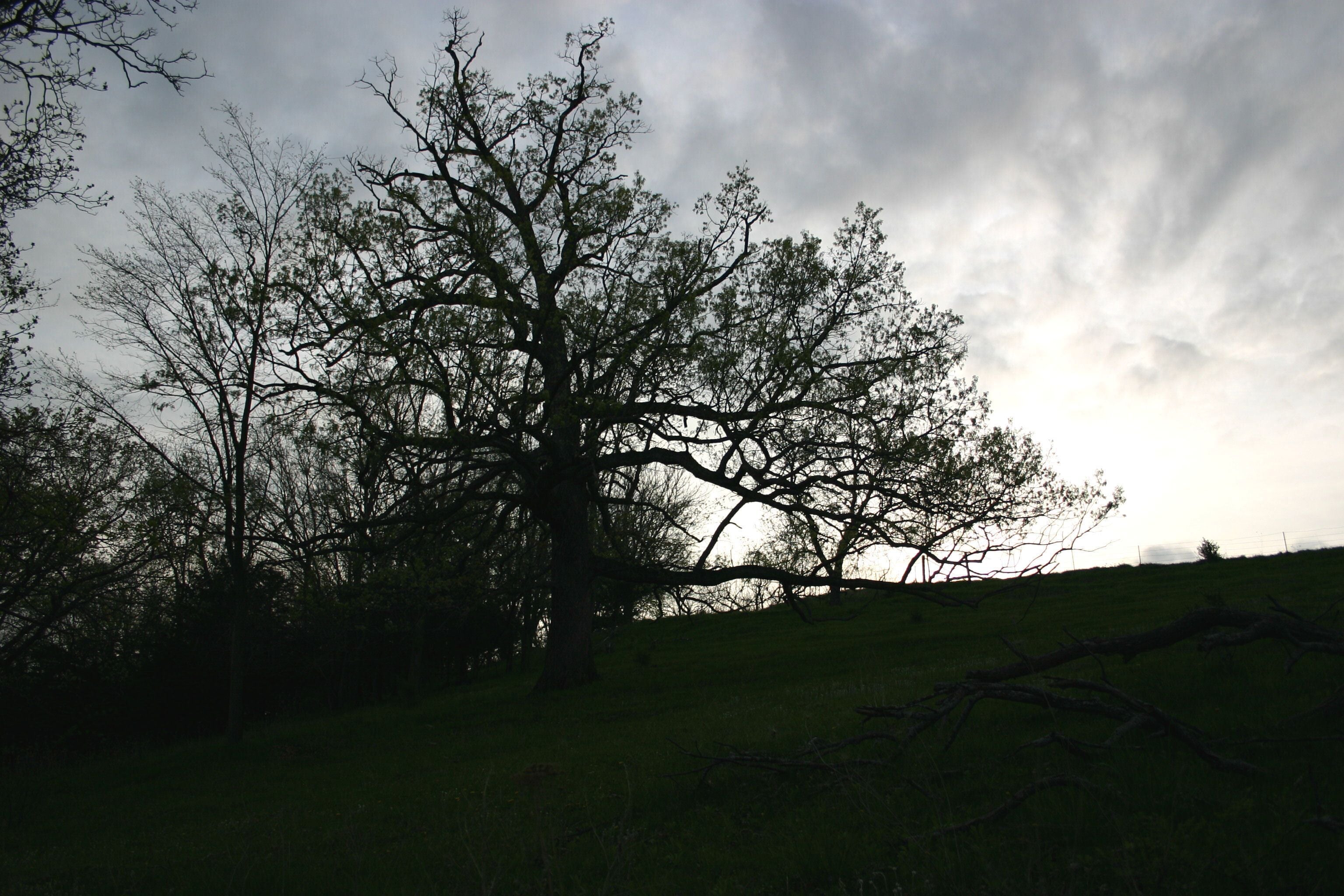 <h2>普雷里德欣的海滩附近最受欢迎的住宿</h2>