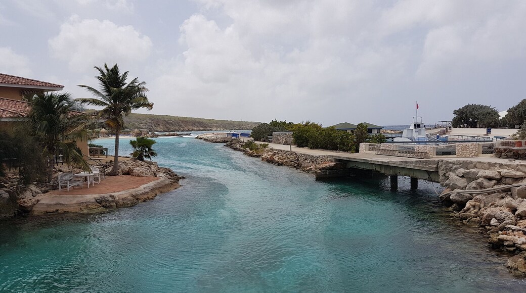 The river meets the sea!