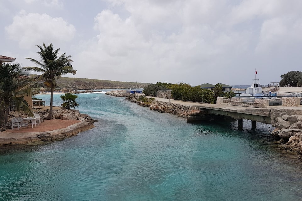 Une rivière turquoise serpente à travers une zone côtière, avec un pont, des palmiers et des bâtiments.