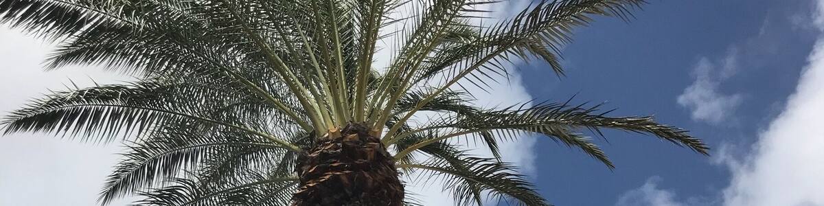 The entrance to the Fort looking backwards at the sky