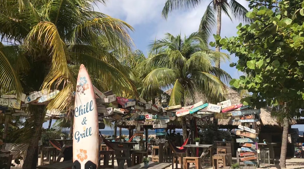 You van buy driftwood with your company name on it and hang it here