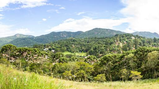 Monteverde