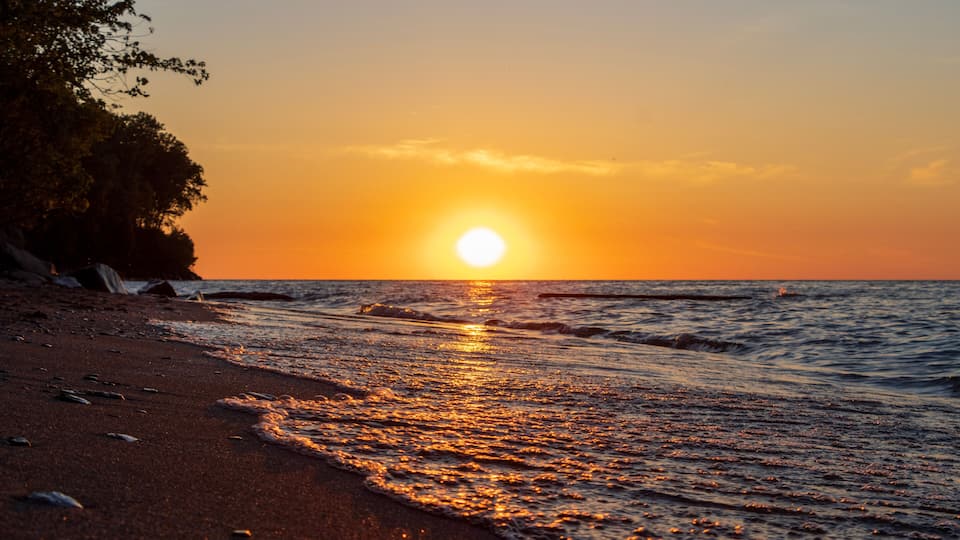 A sunset over a beach with waves, trees, and a clear sky.