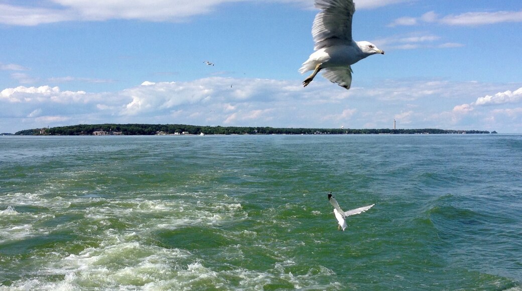 Best photo opp? Aboard the ferry with Lake Erie as the back drop. A great place to take photos is from aboard the ferry to or from the Lake Erie Islands of Put-in-Bay or Middle Bass, Ohio.