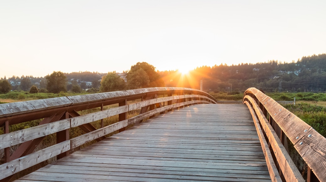 Bridge going over a river in a city park. Sunny Summer Sunset. Colony Farm Regional Park, Port Coquitlam, Vancouver, British Columbia, Canada.