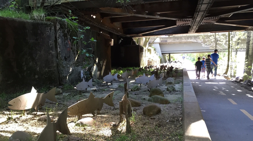 Hidden salmon artwork under the railway bridge beside the park.