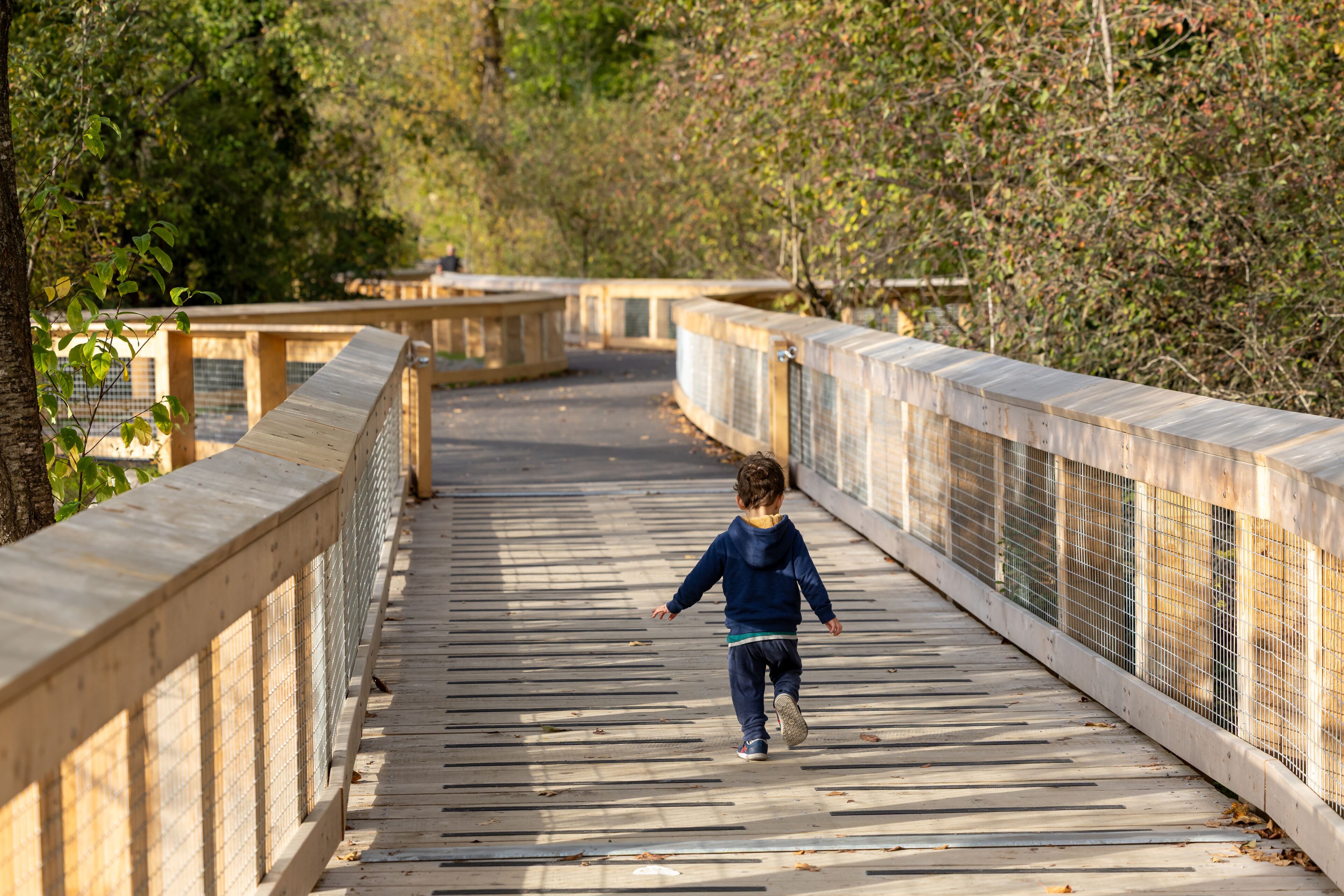 Young Boy Walking On A Wooden Boardwalk Through A Forest Trail In Port Moody, BC, Canada