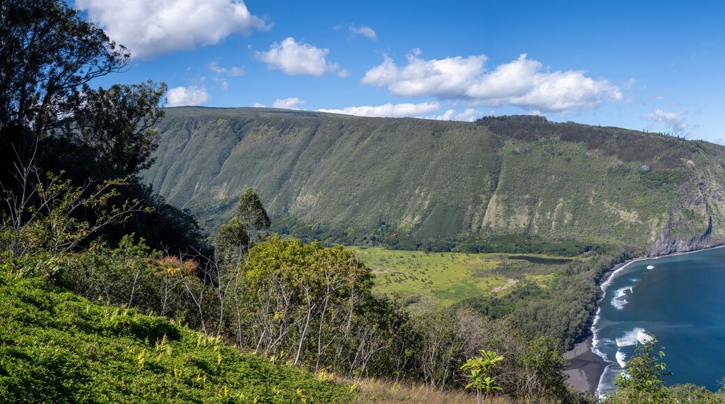 Panoramic view of Waipio Valley in Big Island Hawaii.
