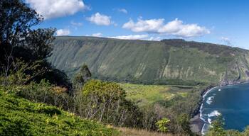 Waipio