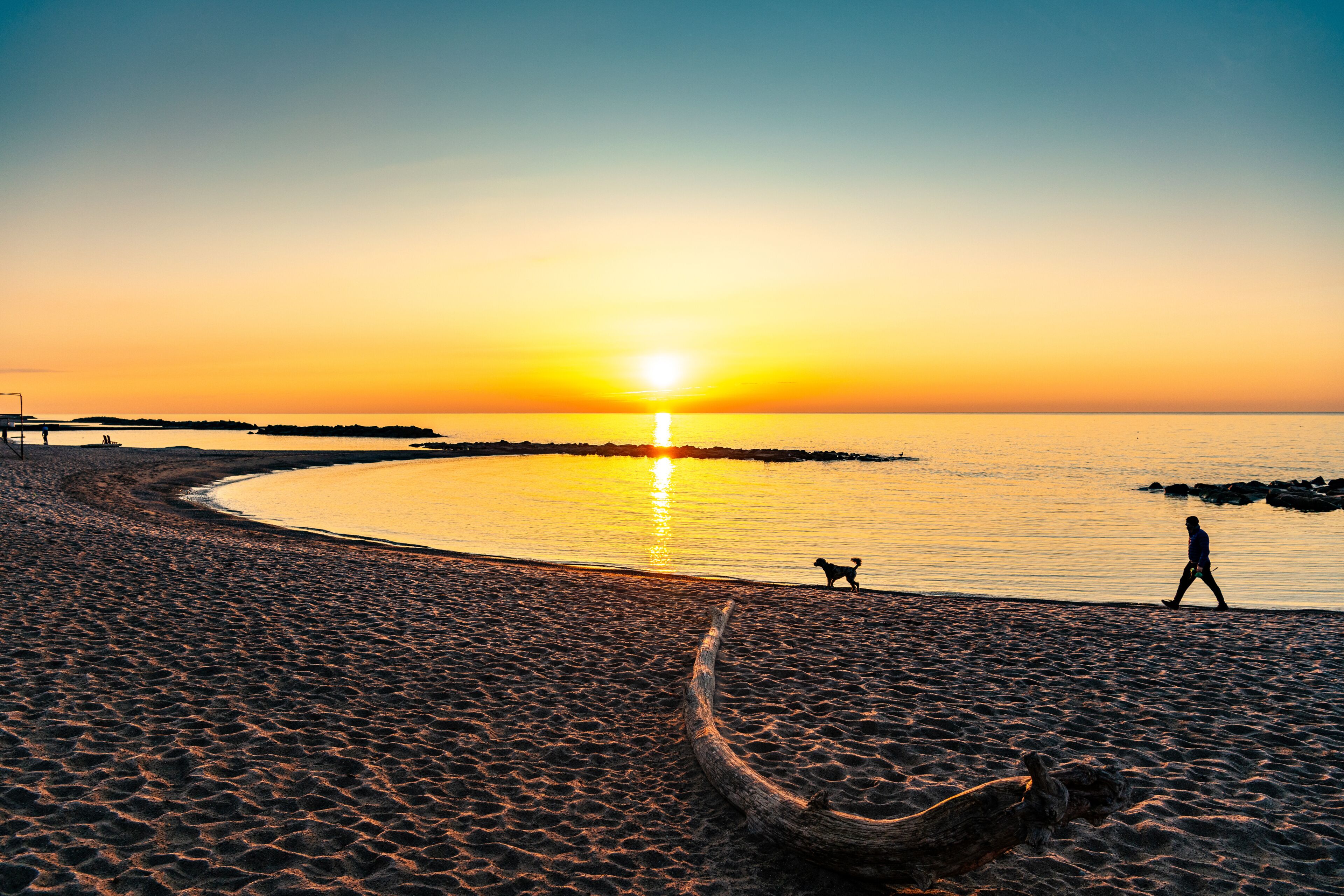 A beach at sunset with a dog and a person walking, and a large log on the sand.