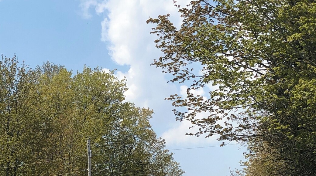 If you love rolling hills, Port Hope offers some of the best cycling in Ontario. Wide roads, little traffic and majestic views. Simply, the best. #lifeatexpedia