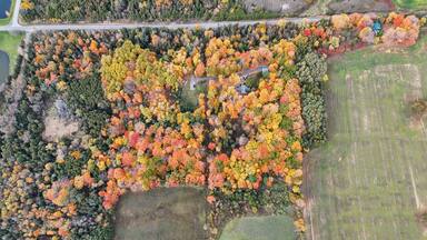 Stunning aerial view of colorful autumn forest with houses and farmland, Port Hope, Ontario, Canada