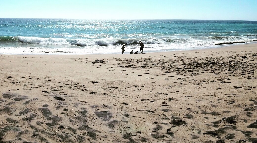 Secret little beach area off the California Coast highway.