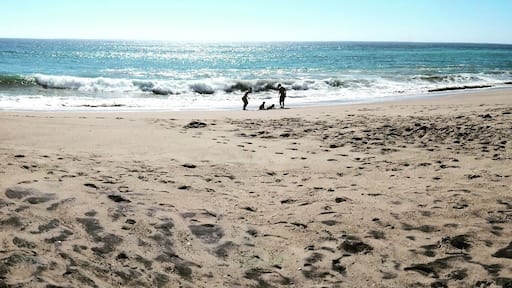 Secret little beach area off the California Coast highway.