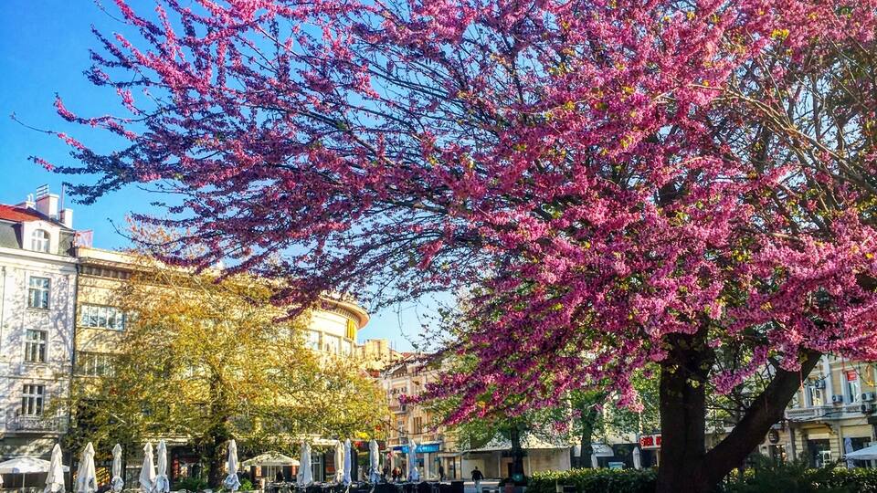 A great square in Plovdiv to drink coffee and take in the scenery #plovdiv #spring #bulgaria