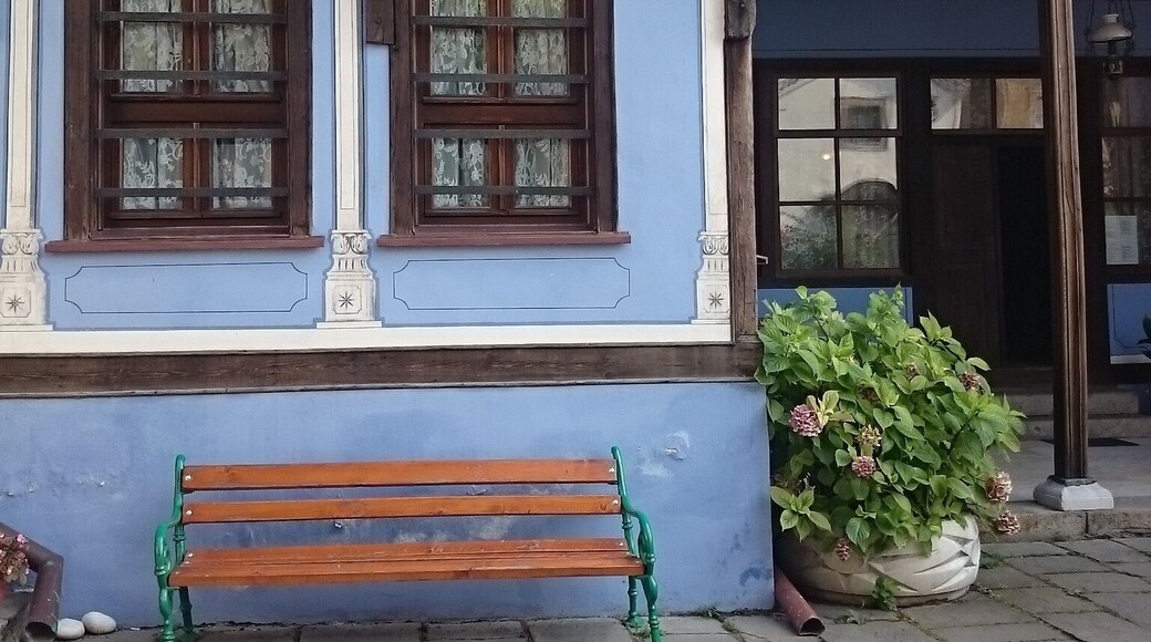 One of the oldest cities in the world dating 6000 BC, Plovdiv is a joy for the eyes to walk around (go to the old city you can also see the roman amphitheater)