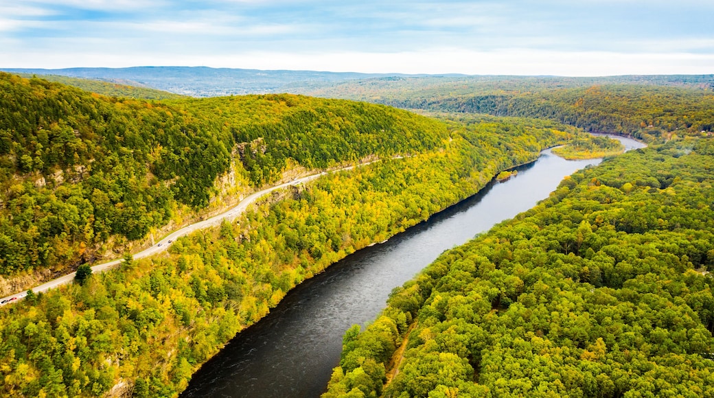 A river winding through a densely forested valley with a road running alongside it.