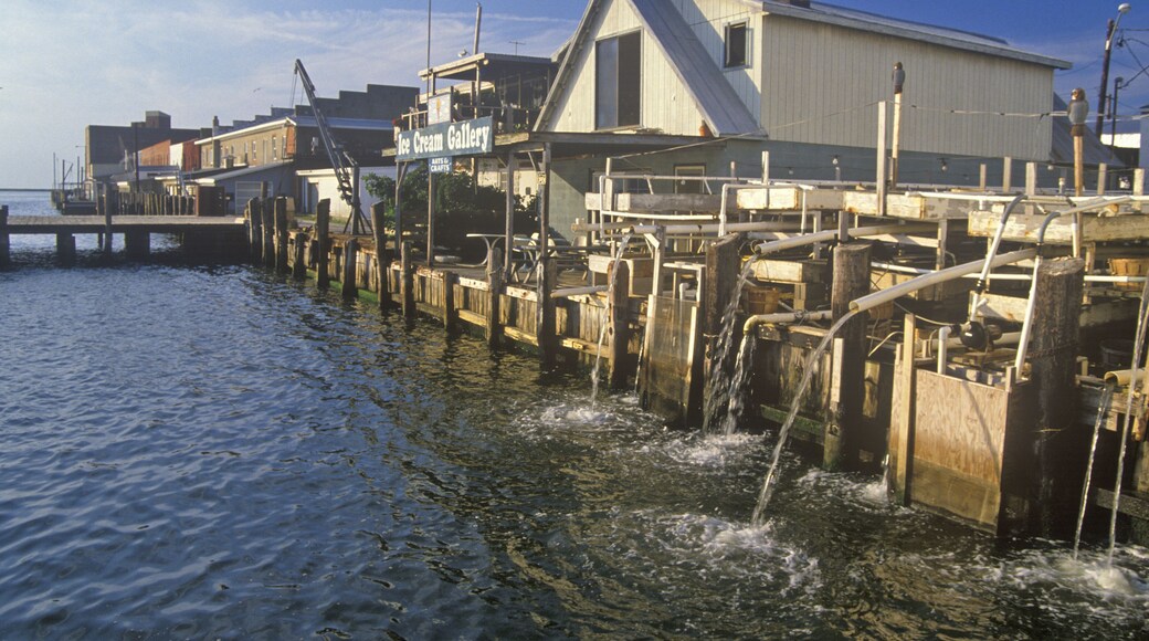 Harbor, Crisfield, Maryland; Shutterstock ID 143907103; Purchase Order: -