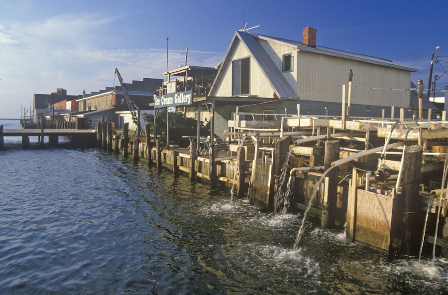 Harbor, Crisfield, Maryland; Shutterstock ID 143907103; Purchase Order: -
