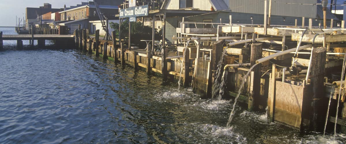 Harbor, Crisfield, Maryland; Shutterstock ID 143907103; Purchase Order: -