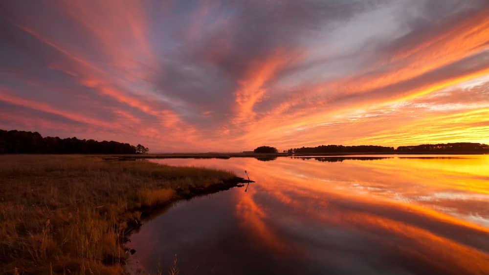 A sunset over a calm lake with a grassy shoreline and distant trees.