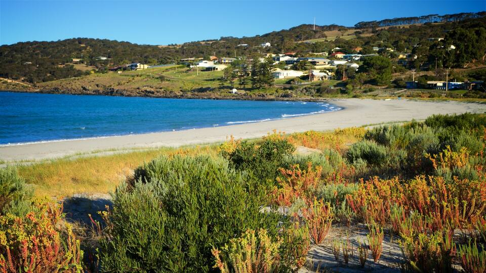 A coastal landscape with a sandy beach, green vegetation, and houses in the background.