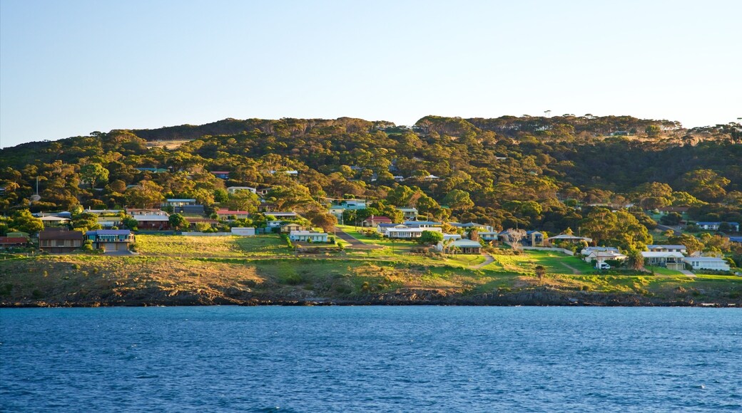 Penneshaw showing a coastal town, tranquil scenes and general coastal views