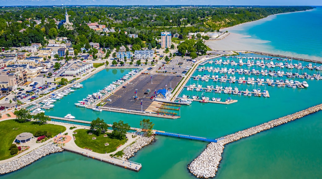Aerial view of Port Washington marina
