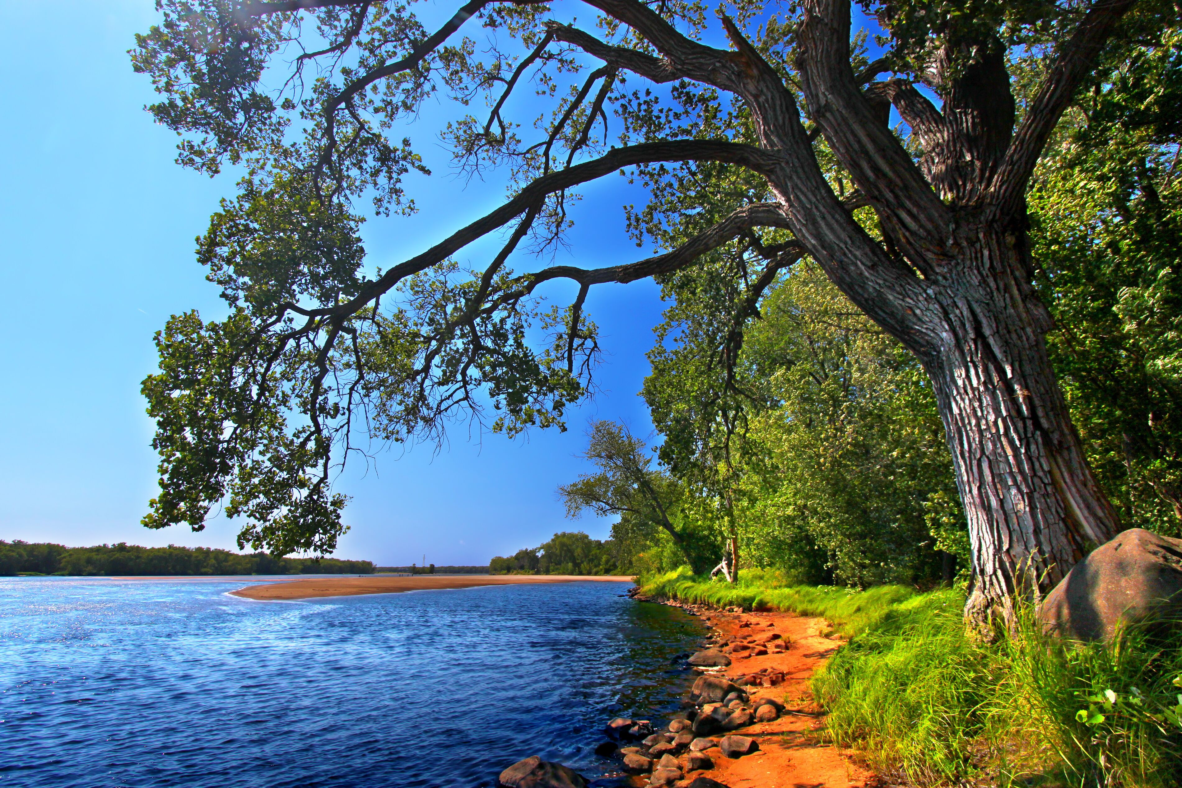 Wisconsin River Landscape in Portage